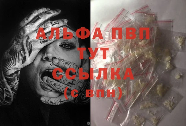 индика Баксан