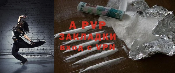 индика Баксан