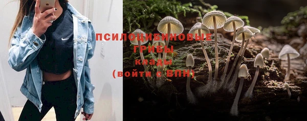 мескалин Арсеньев